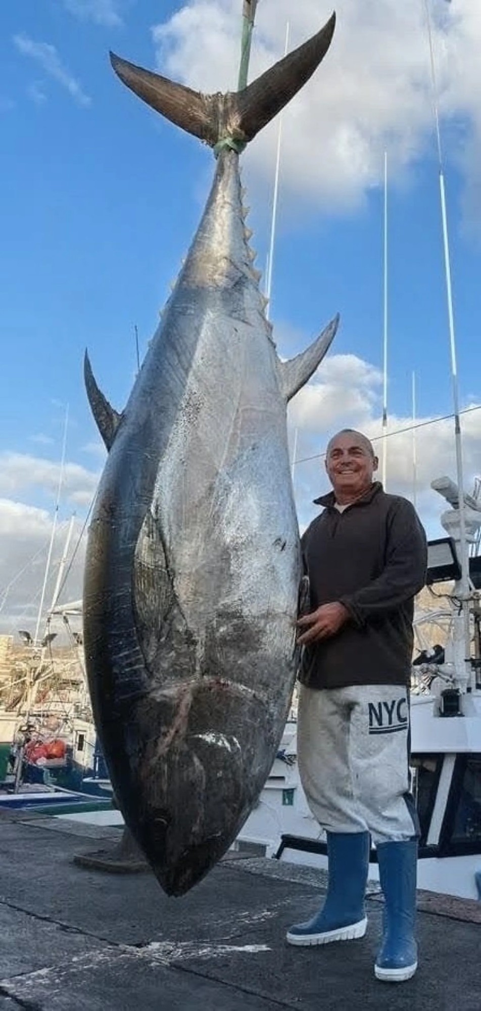 Atún rojo de almadraba, recién descargado en el puerto